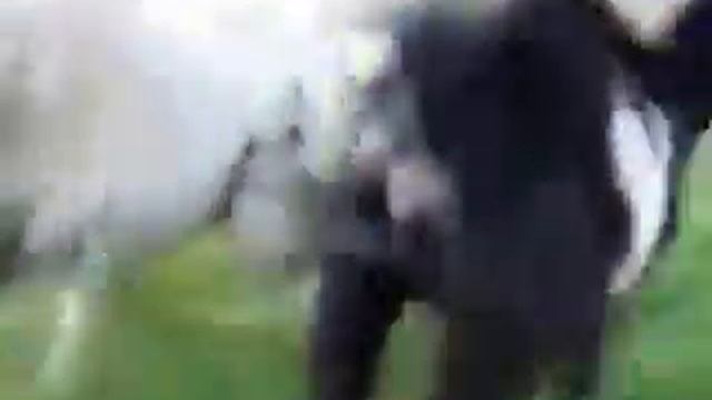 колокольчики у козла смотреть онлайн