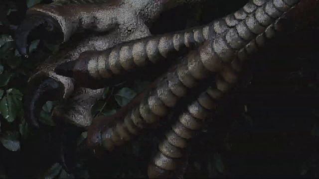 Introducing our New & Improved Dinosaur Safari смотреть онлайн