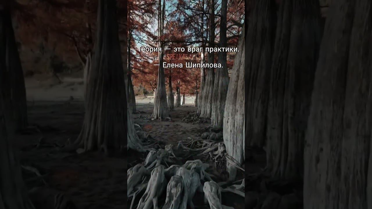 Теория - это враг практики. speakASAP®. Елена Шипилова®. смотреть онлайн