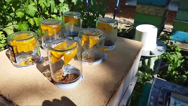 Сотовый мёд в банках.