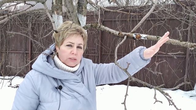 СЕЗОН 2020: ОБРЕЗКА ЯБЛОНИ - КАК ЭТО ДЕЛАЮТ ПРОФЕССИОНАЛЫ! Теперь все понятно!!! / Садовый гид смотреть онлайн