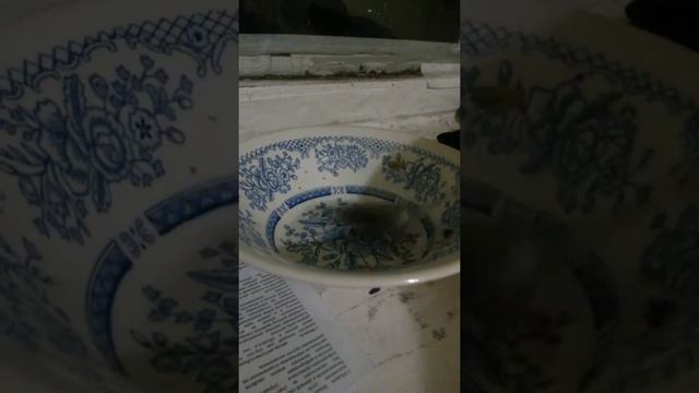 Как стучать по тарелке. смотреть онлайн