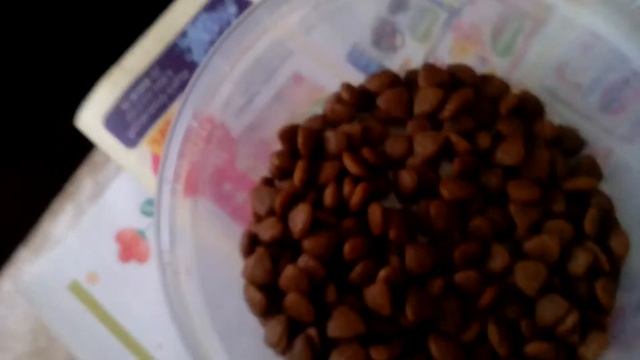 Как ухаживать за щенком спаниеля ))))) и что для этого нужно смотреть онлайн