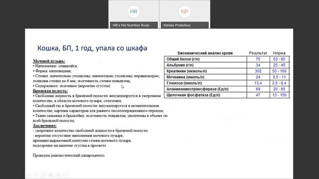 Вебинар на тему: "Абдоминальные выпоты". Лектор - Наталия Прокофьева. смотреть онлайн