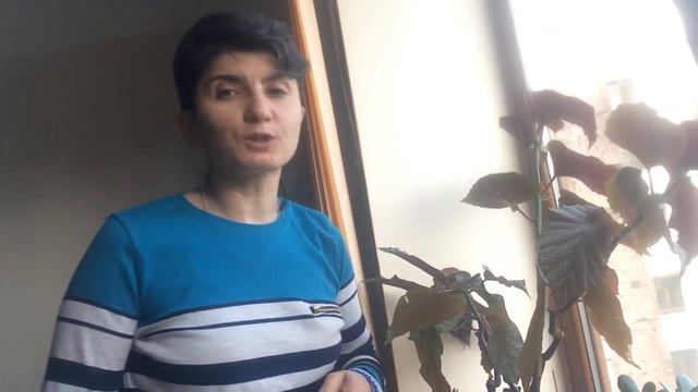 Магия Утра. День 24 . смотреть онлайн