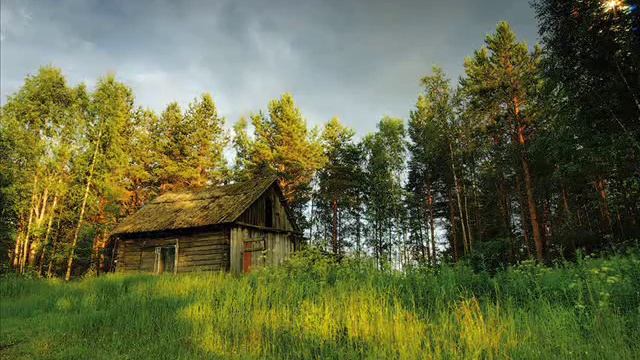 Ада Якушева. Я приглашаю вас в леса смотреть онлайн