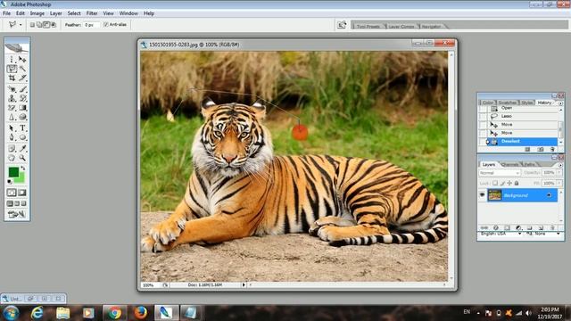 How To Use Lasso Tools In Photoshop