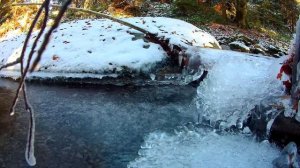 Релакс. Журчание ручья в прекрасном зимнем лесу.