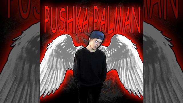 PUSHKA PALMAN- Много боли (Премьера трека) Official Audio