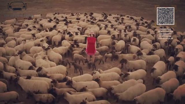 2023-2024 Chevrolet Traverse High Country - Interior And Exterior Walkaround | Price & Release Date