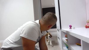 Щенок Брос Шоу нашел СОКРОВИЩА.