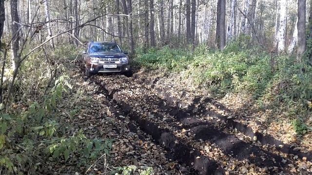Мичуринские леса смотреть онлайн