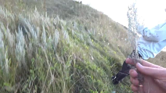 Забрал сына! Летопись из деревни!!! смотреть онлайн