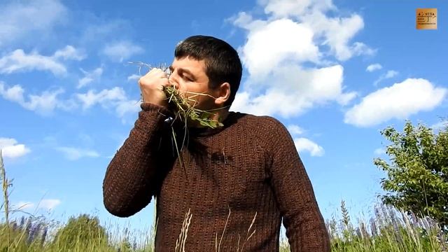 Продажа. Участок. Беларусь. Деревня Коновалово от города Витебска 14 км. Эксклюзивное предложение. смотреть онлайн