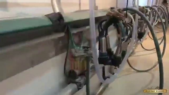 Егорлык молоко. смотреть онлайн
