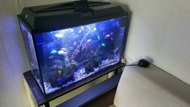 Перестановка аквариума 120 литров. Освещение LED в аквариуме. смотреть онлайн