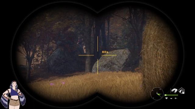 Two Lil Foxes, All in a Row - The Hunter: Call of the Wild - Hirschfelden LIVE Part 13 -11/10/2022 смотреть онлайн