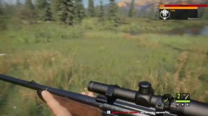 The Hunter Call of the Wild