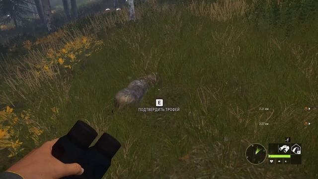 theHunter Call of the Wild ✅ DLC / ТОП 3 ДЛС / ЗАКАЗНИКИ?️ смотреть онлайн