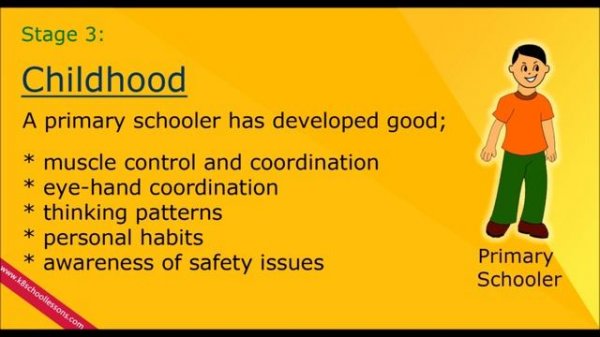 Human Life Cycle | Stages of Human Life Cycle