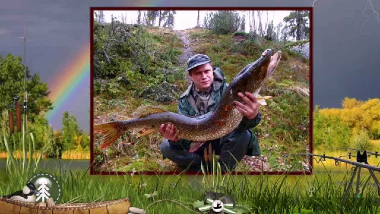 Шаблоны слайд-шоу о рыбалке смотреть онлайн