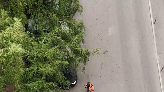 Ратная улица 8, двор 20 июня 2023 09:50 смотреть онлайн
