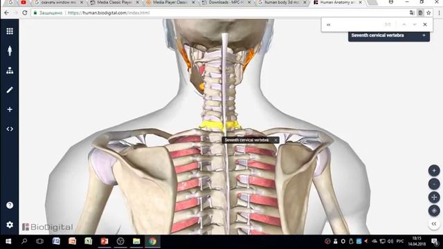Хиджама Как найти точку кяхиль смотреть онлайн