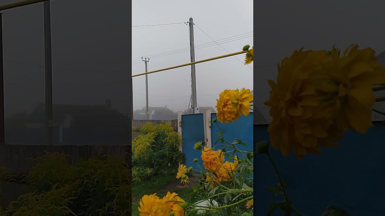 туман смотреть онлайн