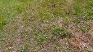 Катушка снайперка на ТХ 850 первые впечатления ,я доволен??