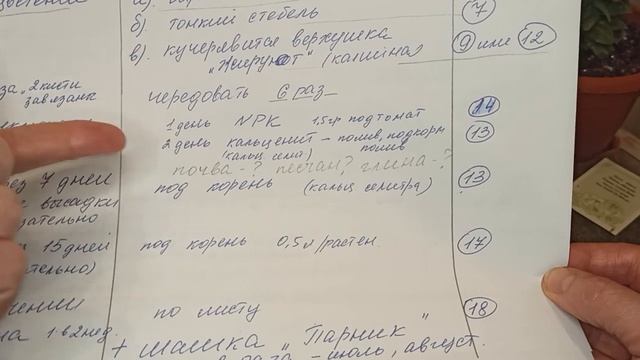 Моя схема подкормок томатов! смотреть онлайн