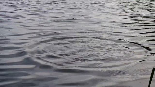 Рыба клюёт на каждом забросе! Добавляйте это в прикормку для рыбалки смотреть онлайн
