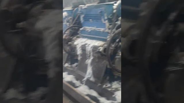 пахта завот смотреть онлайн