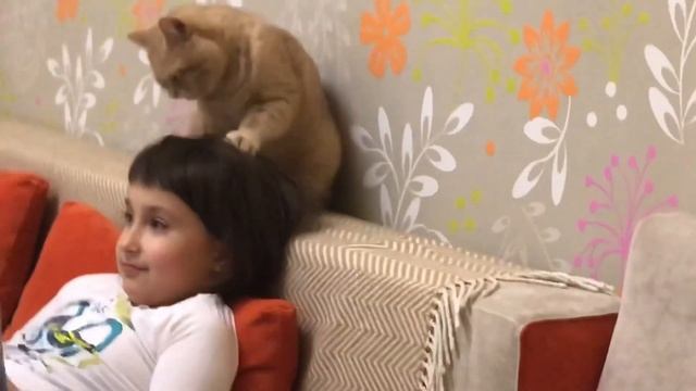 Лёва - кот - стилист - массажист - на все лапы мастер смотреть онлайн