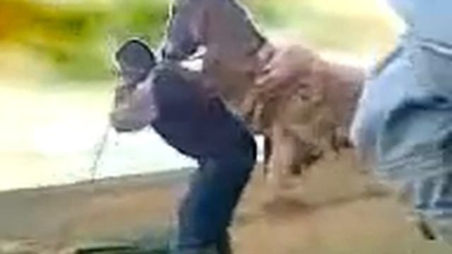 Мужик кинул осла прогибом ! Жесть ! 1 смотреть онлайн