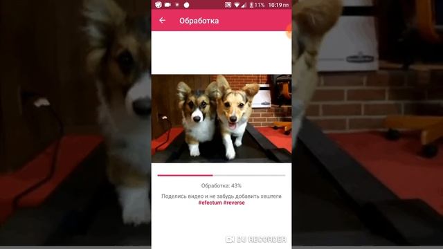 Видео наоборот быстрое и слоумо как сделать? смотреть онлайн
