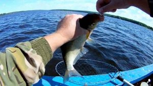 ЧТО ТАМ ТАКОЕ? Ловля леща на донки с лодки.Рыбалка на Волге.