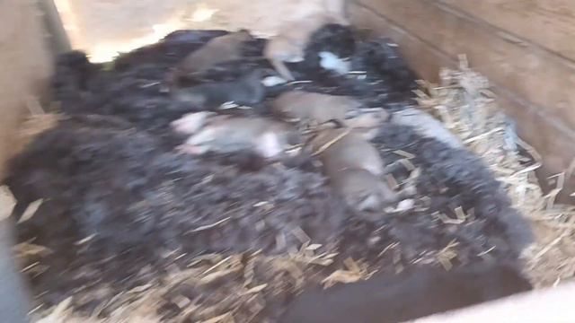 23.09.23. уборки разборки.. смотреть онлайн