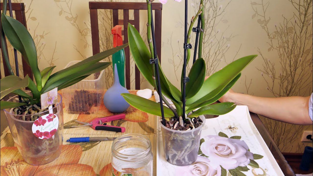 Применяем НЕПРАВИЛЬНО, вот ничего и НЕ РАБОТАЕТ!!! ВКЛЮЧИ ГОЛОВУ - ПОЛУЧИШЬ РЕЗУЛЬТАТ!!! смотреть онлайн