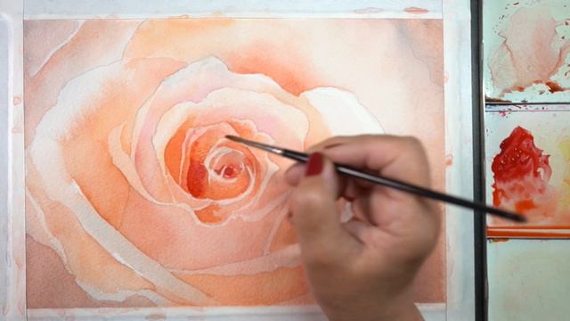 Part 1: Watercoloring a Peach Rose (Layering tips) смотреть онлайн