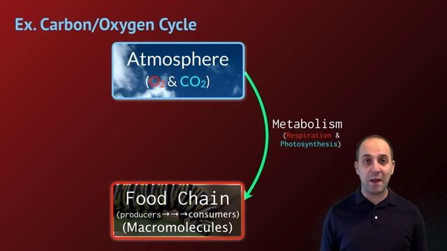 K-Bio Matter 1: Matter Cycles смотреть онлайн