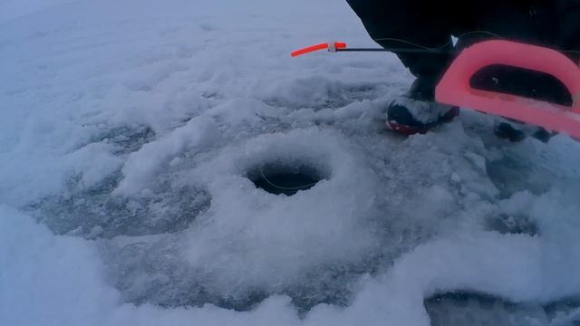 Сорочьи  горы берш на утюг. Ловля берша на тюльку. Берш на Адмирал Litle Cleo и лепестки.