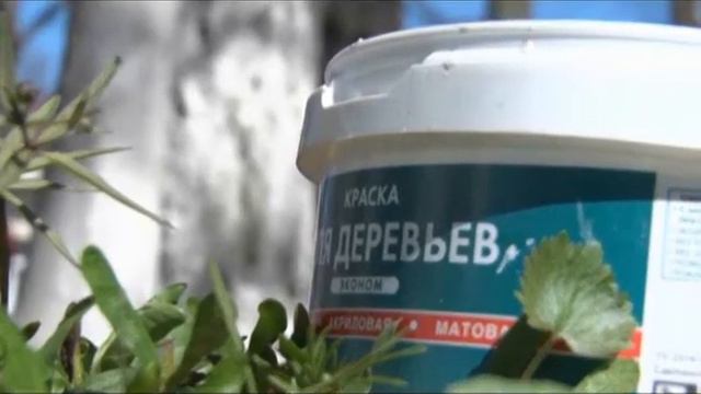 Неделя добра. Социальные инициативы. ДИА-ТВ Данилов смотреть онлайн