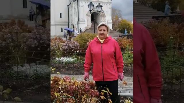Обрезка гортензий смотреть онлайн