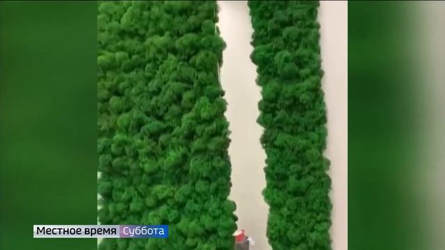 Стабилизированный мох в интерьере: стильные идеи от владимирского дизайнера смотреть онлайн