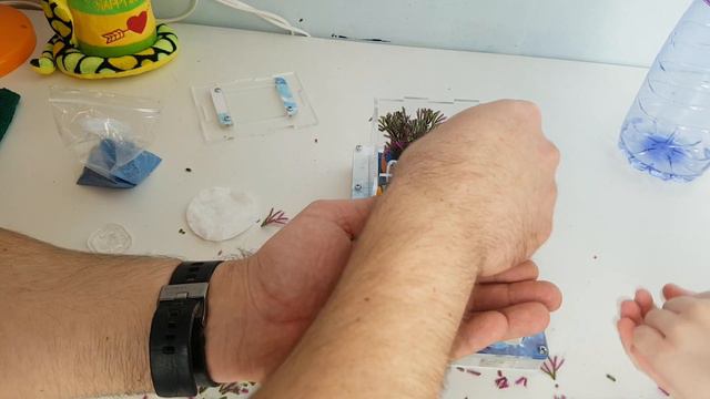 ОФОРМЛЕНИЕ ДОМИКА ДЛЯ МУРАВЬЕВ 🐜 АРЕНА ФОРМИКАРИЯ - МУРАВЬИНАЯ ФЕРМА смотреть онлайн