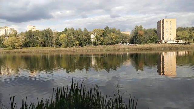 #Красота Пушкино,#Пушкино,#красота. смотреть онлайн