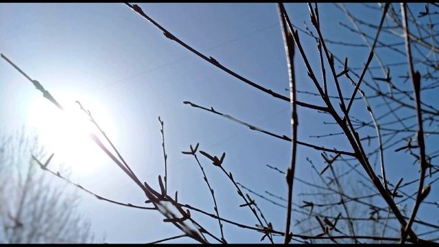 И Бунин Христос воскрес! Опять с зарёю #поэзияСеребряноговека #оПасхе смотреть онлайн