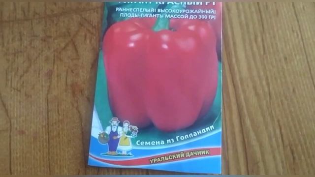 Крупноплодный болгарский перец. Лидеры среди гигантов ? смотреть онлайн