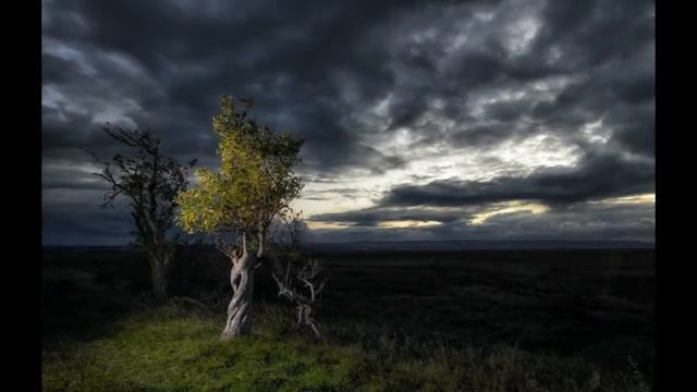 Ритуал от шумных соседей смотреть онлайн