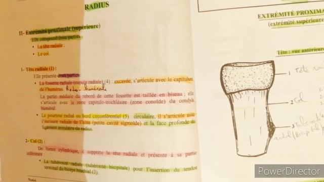 Le radius ( partie 02) смотреть онлайн